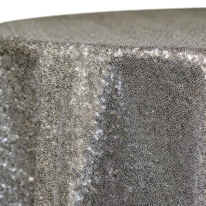 Sequin Silver